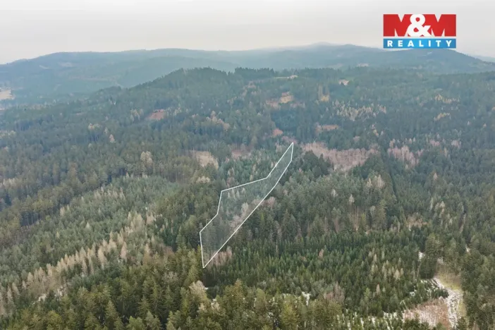 Prodej lesa, Hůrky, 6294 m2