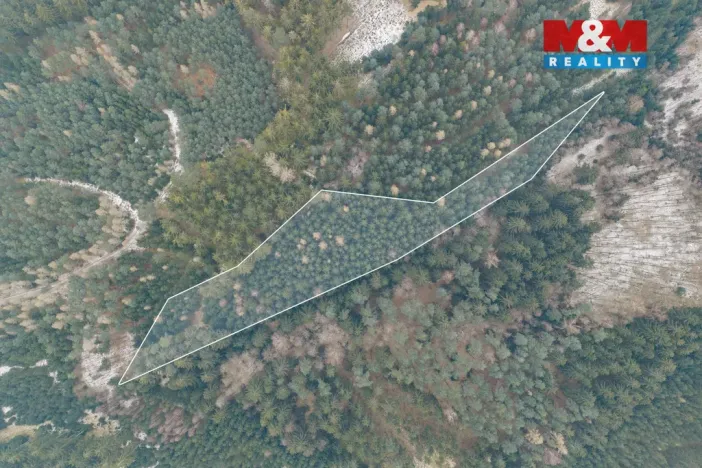 Prodej lesa, Hůrky, 6294 m2