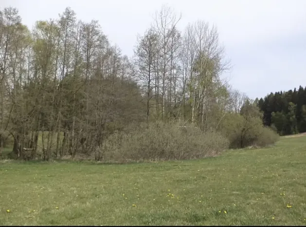 Dražba louky, Mezno, 8388 m2