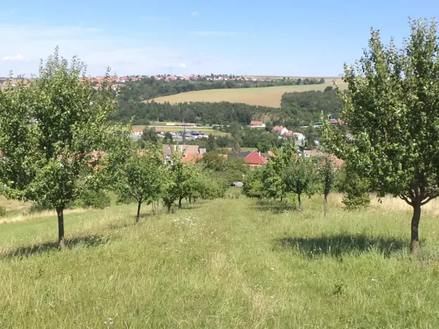 Dražba louky, Podolí, 10906 m2