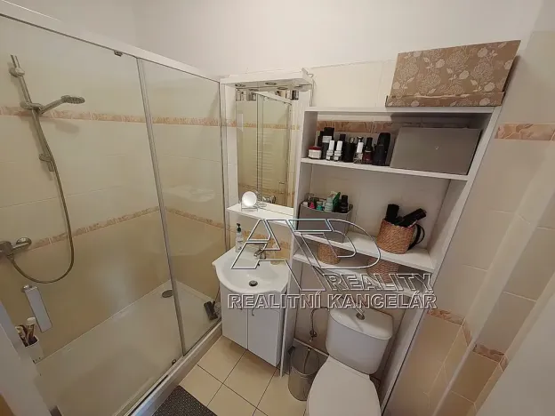 Pronájem bytu 2+1, České Budějovice, L. B. Schneidera, 54 m2