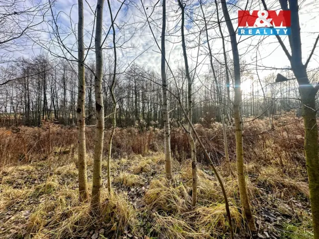 Prodej pozemku pro bydlení, Petřvald, Ostravská, 4322 m2