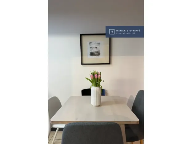 Pronájem bytu 2+1, Brno, Náplavka, 58 m2