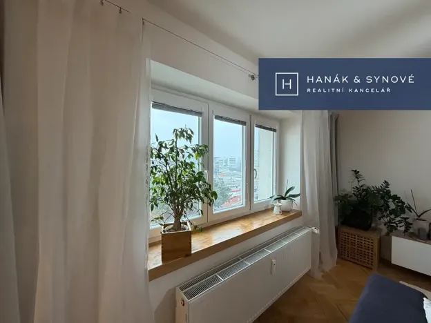 Pronájem bytu 2+1, Brno, Náplavka, 58 m2