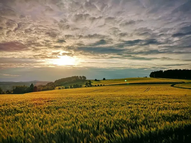 Prodej rodinného domu, Pecka, 300 m2