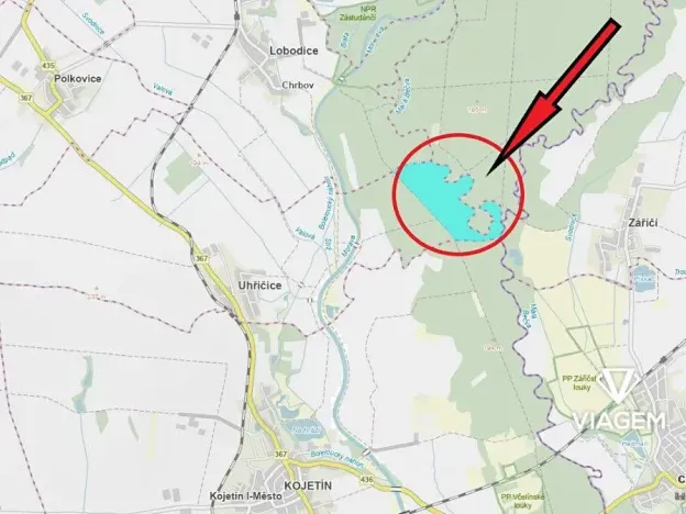 Prodej podílu lesa, Uhřičice, 2304 m2