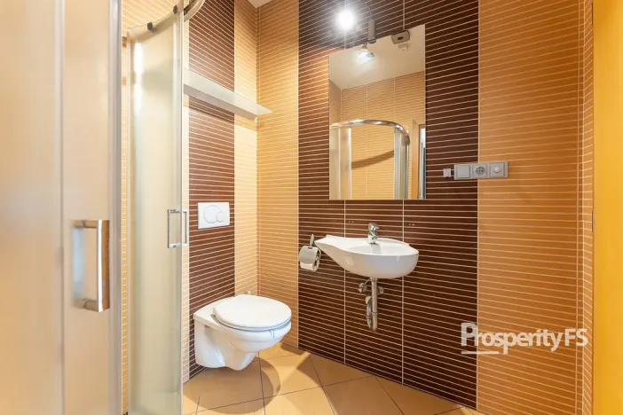 Prodej obchodního prostoru, Brno - Staré Brno, Úvoz, 75 m2