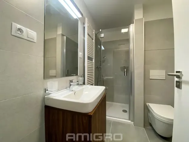 Pronájem bytu 1+kk, Brno, Reissigova, 41 m2