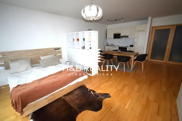 Pronájem bytu 1+kk, Praha - Žižkov, Ke kapslovně, 53 m2