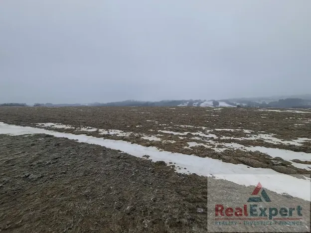 Prodej pole, Nový Rychnov, 73681 m2