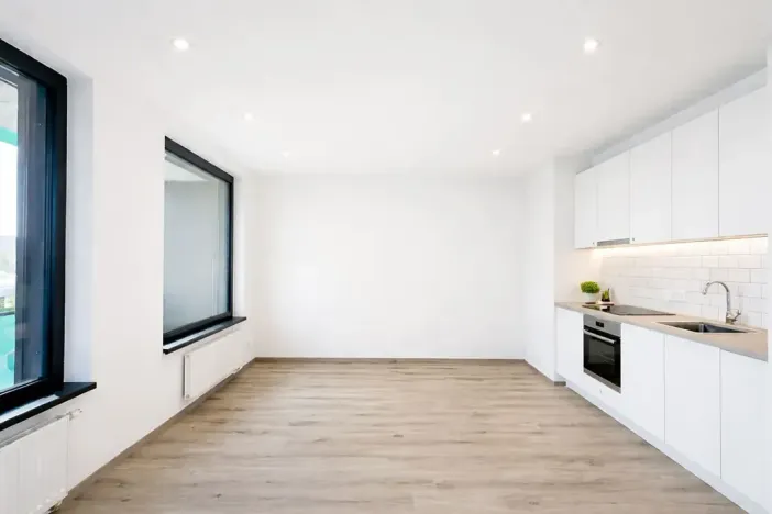 Pronájem bytu 1+kk, Praha - Žižkov, Olgy Havlové, 32 m2