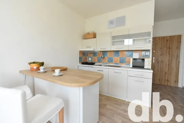 Pronájem bytu 1+kk, Chodov, Čapkova, 26 m2