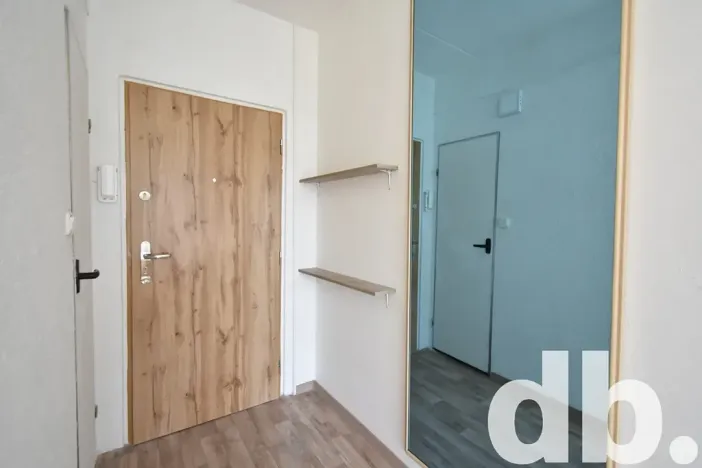 Pronájem bytu 1+kk, Chodov, Čapkova, 26 m2