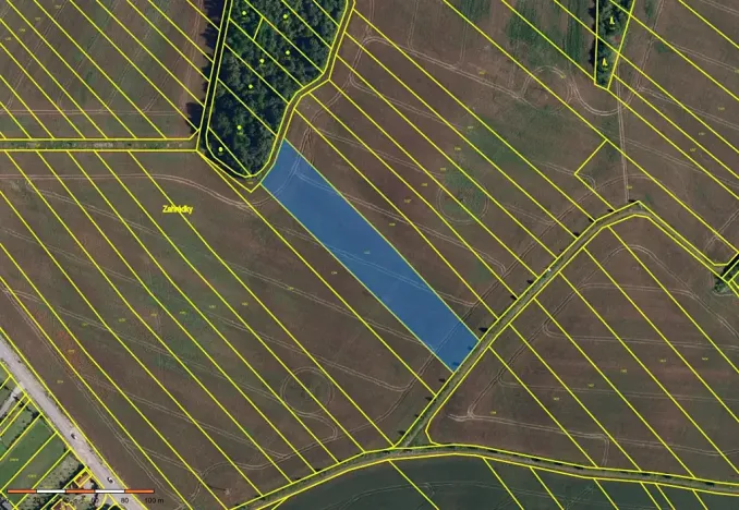 Prodej pole, Babice u Rosic, 15167 m2