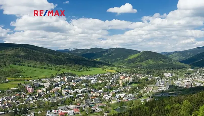 Prodej bytu 1+kk, Vrbno pod Pradědem, Žižkova, 42 m2