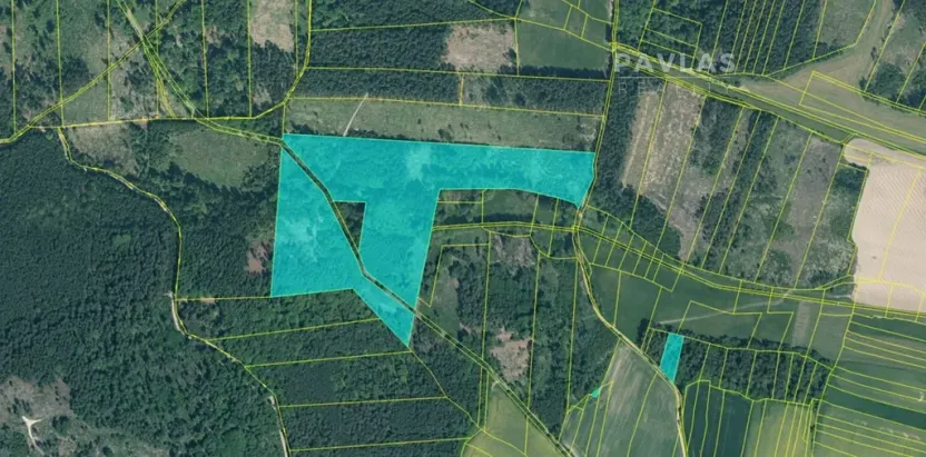 Prodej lesa, Branice, 82524 m2