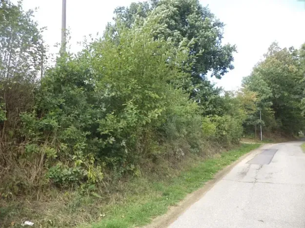 Dražba louky, Střelské Hoštice, 56 m2