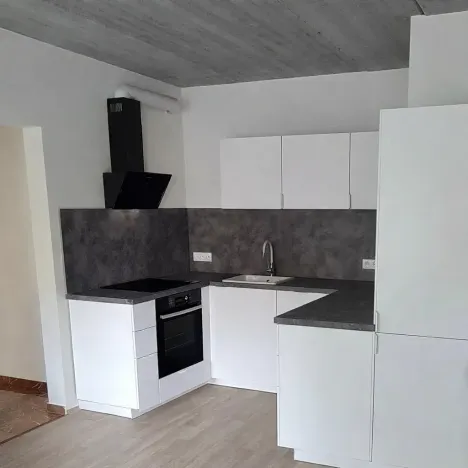 Pronájem bytu 2+kk, Kladno, Vrchlického, 50 m2