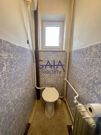 Prodej rodinného domu, Veselí nad Moravou, Břestek, 230 m2