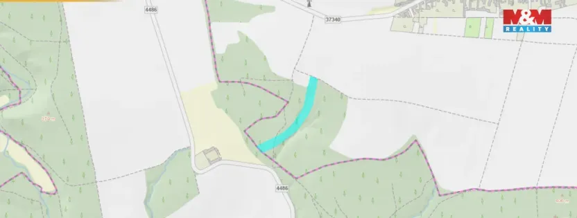 Prodej lesa, Olbramice, 12592 m2