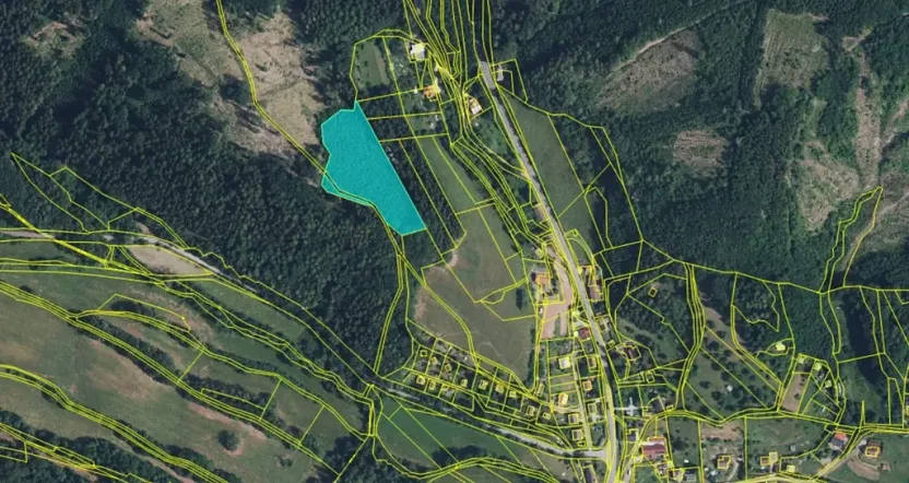 Prodej lesa, Bradlecká Lhota, 36126 m2