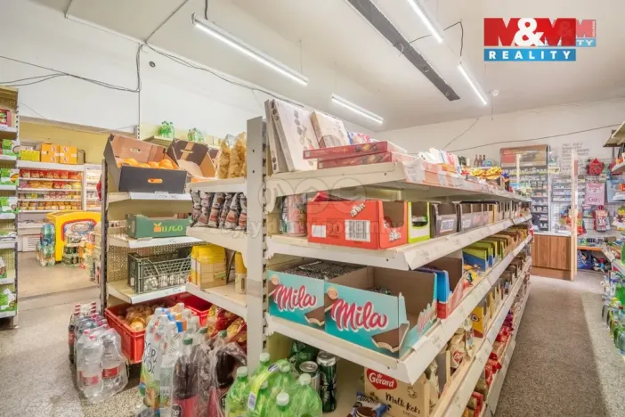 Prodej rodinného domu, Sedlec-Prčice, Vítkovo nám., 200 m2