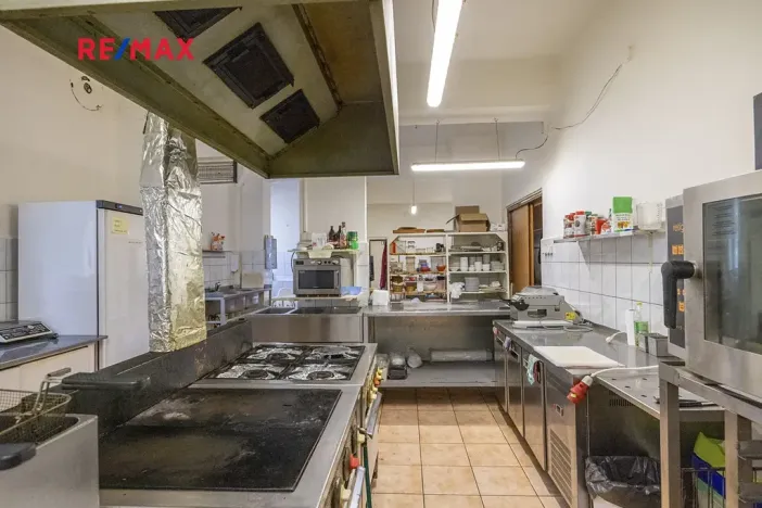 Prodej obchodního prostoru, Čelákovice, Rumunská, 794 m2