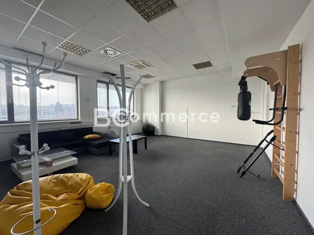 Pronájem kanceláře, Brno, 620 m2