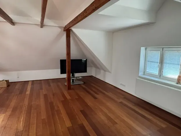 Dražba rodinného domu, Praha - Vinohrady, Květná, 266 m2