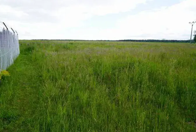 Dražba pole, Dolní Krupá, 5368 m2