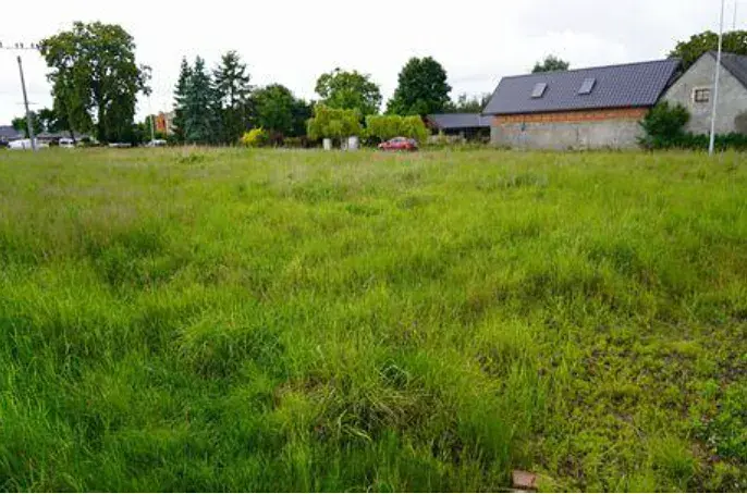 Dražba pole, Dolní Krupá, 5368 m2