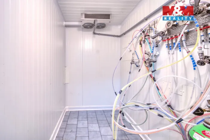 Pronájem obchodního prostoru, Plzeň - Jižní Předměstí, Americká, 102 m2