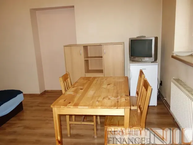 Pronájem bytu 1+kk, Líně, Plzeňská, 28 m2