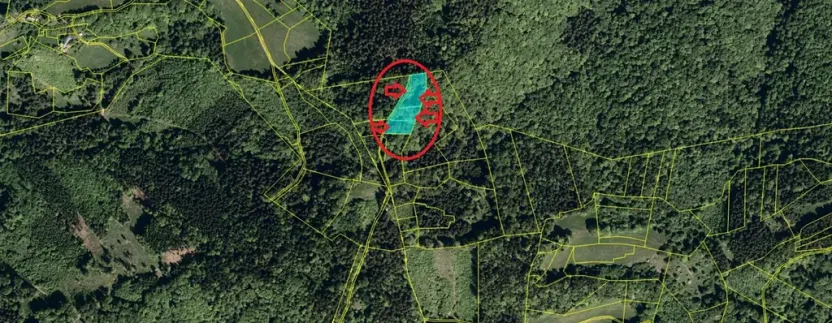 Prodej podílu lesa, Halenkov, 1840 m2
