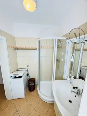 Pronájem bytu 1+1, České Budějovice, Riegrova, 55 m2