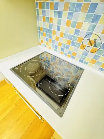 Pronájem bytu 1+1, České Budějovice, Riegrova, 55 m2