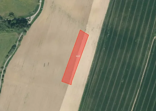 Prodej pole, Dražičky, 25490 m2