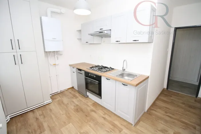 Prodej bytu 2+1, Plzeň - Východní Předměstí, Rychtaříkova, 51 m2