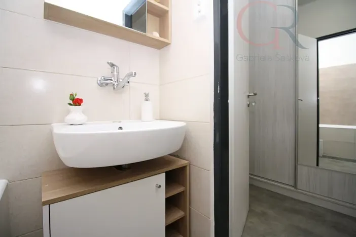 Prodej bytu 2+1, Plzeň - Východní Předměstí, Rychtaříkova, 51 m2