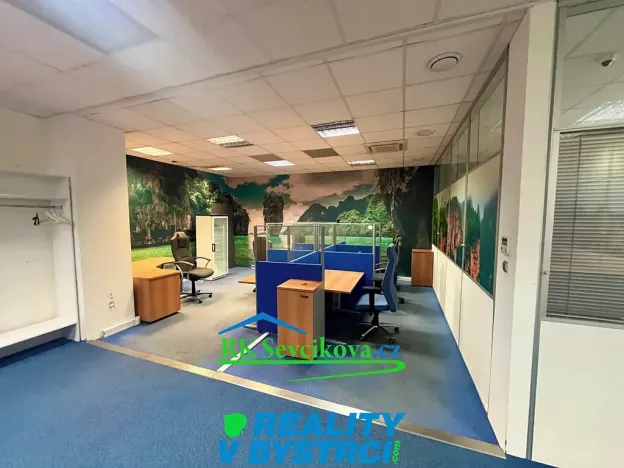 Pronájem kanceláře, Brno, Kubíčkova, 77 m2
