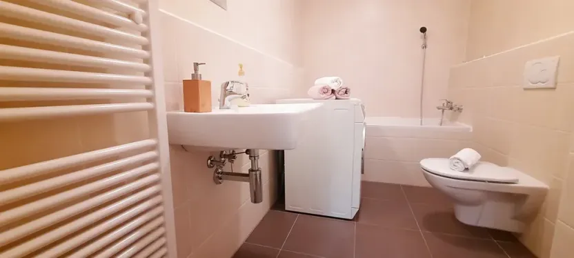 Pronájem bytu 1+kk, Brno, Šemberova, 48 m2