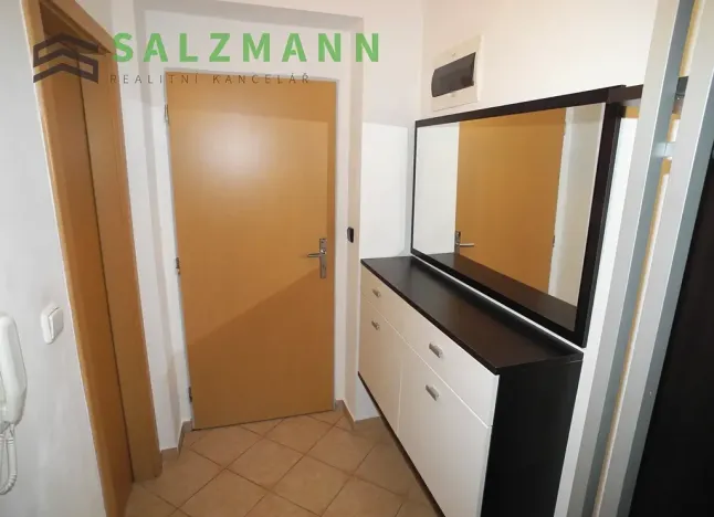 Pronájem bytu 2+1, Plzeň, Malesická, 50 m2