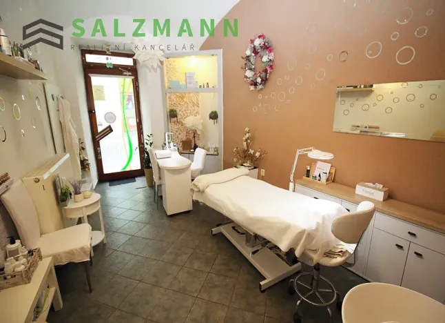 Pronájem obchodního prostoru, Plzeň, Bezručova, 15 m2