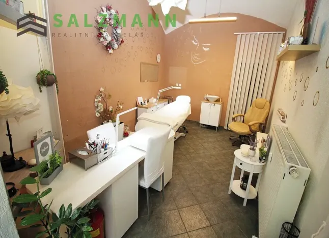 Pronájem obchodního prostoru, Plzeň, Bezručova, 15 m2