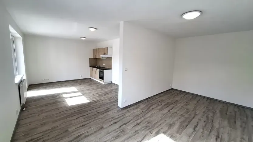 Pronájem bytu 1+kk, Plzeň, Železniční, 40 m2