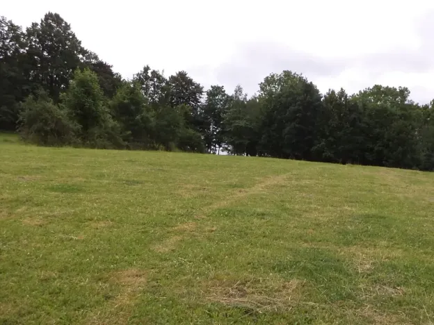 Dražba louky, Vlčice, 1566 m2