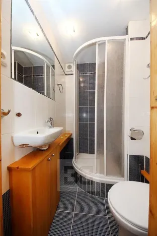 Prodej bytu 1+kk, Praha - Nusle, U družstva Ideál, 27 m2