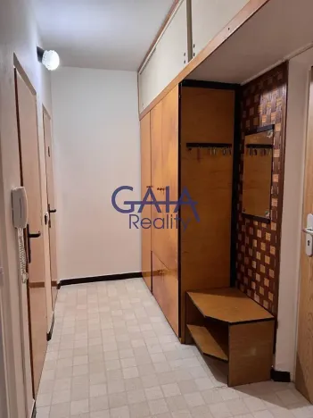 Pronájem bytu 1+1, Hodonín, Družstevní čtvrť, 37 m2