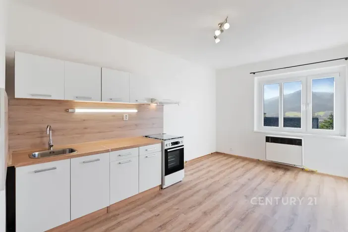 Pronájem bytu 1+1, Děčín, Riegrova, 37 m2