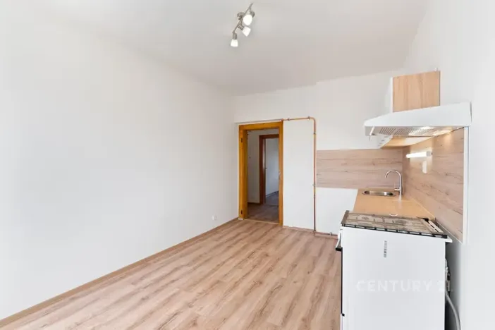 Pronájem bytu 1+1, Děčín, Riegrova, 37 m2